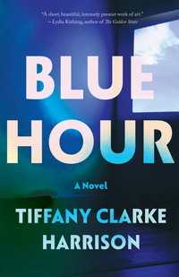 Blue Hour : A Novel