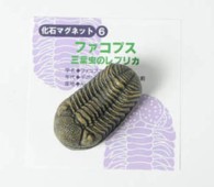 MG006  化石マグネット　三葉虫　ファコプス 【レプリカ】
